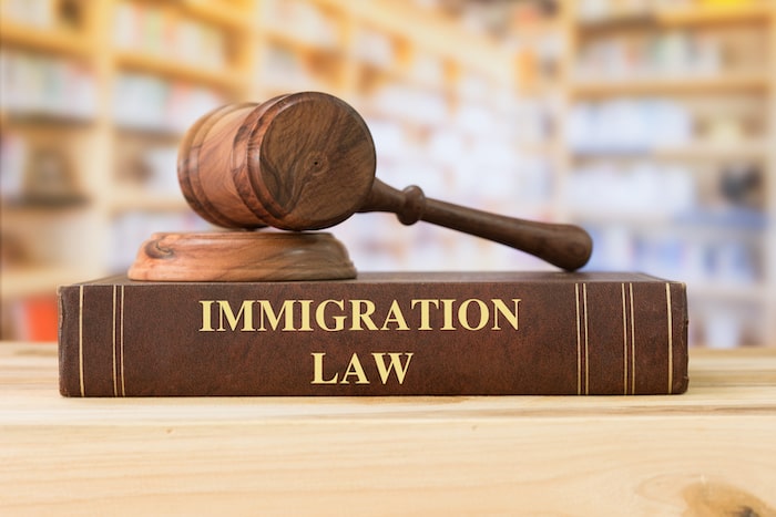 immigration law book and gavel